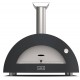 Alfa Forni Moderno 2 Forno Pizza a Gas Grigio Antracite