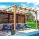 Andorra Madeira Bruta Lean-To Pergola 3x3m 9m2